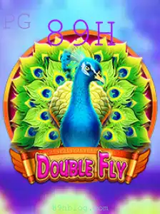 DoubleFly: Explorando o Universo do Novo Jogo com a Senha Especial 89H